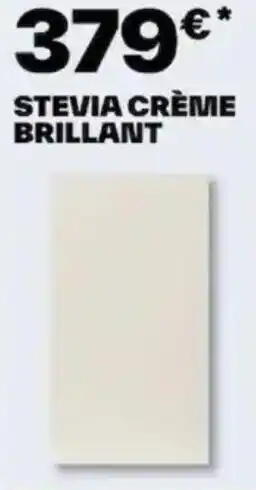 Brico Dépôt STEVIA CRÈME BRILLANT offre