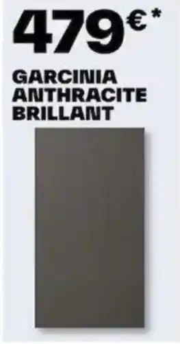 Brico Dépôt GARCINIA ANTHRACITE BRILLANT offre