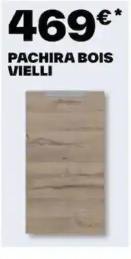 Brico Dépôt PACHIRA BOIS VIELLI offre