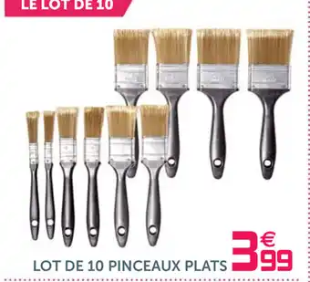Lot de 10 Pinceaux Plats