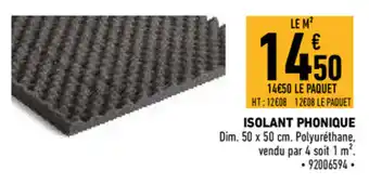 Brico Cash Isolant phonique offre