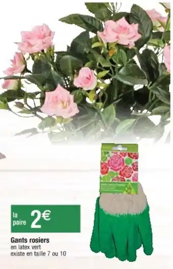 Gants rosiers