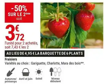 Fraisiers