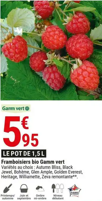 Gamm vert Framboisiers bio gamm vert offre