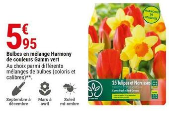 Gamm vert bulbes en mélange harmony de couleurs