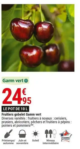 Gamm vert fruitiers gobelet