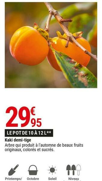 Kaki demi-tige