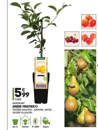 ALDI Gardenline Arbre Fruitier offre
