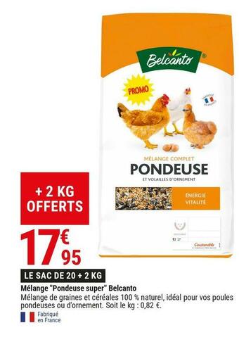 Gamm vert Belcanto mélange "pondeuse super" offre