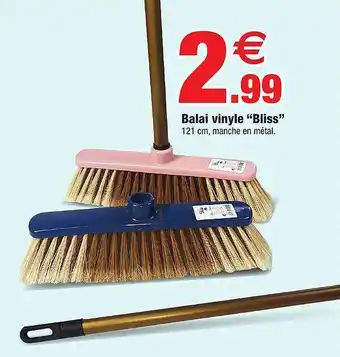 Bazarland Balai Vinyle offre