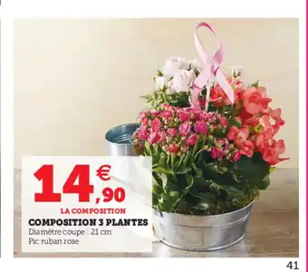 Hyper U Composition 3 Plantes offre