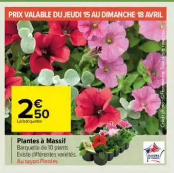 Carrefour Market Plantes à Massif offre