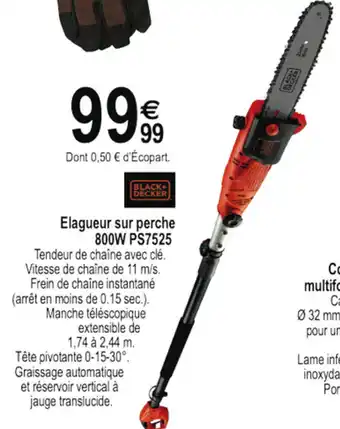 Elagueur Sur Perche