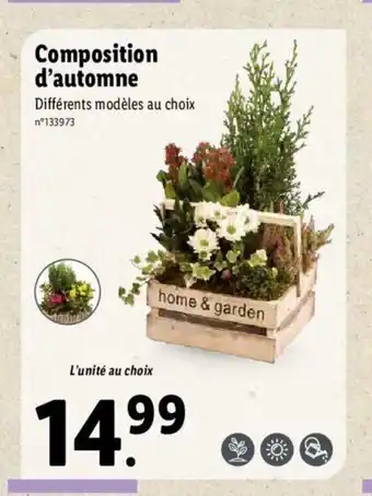 Lidl Composition d'Automne offre
