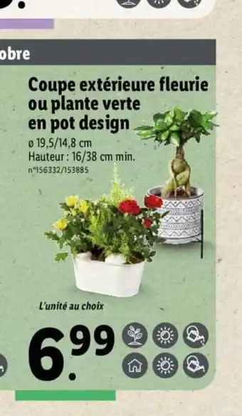 Lidl Coupe Extérieure Fleurie Ou Plante Verte En Pot Design offre