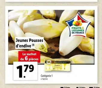 Lidl Jeunes Pousses d'Endive offre