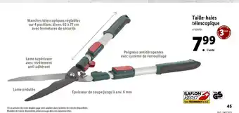 Lidl Taille-Haies Télescopique offre