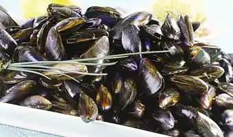 Casino Supermarchés Moules de cordes offre