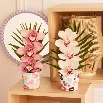Carrefour Orchidée 3 fleurons zinc offre