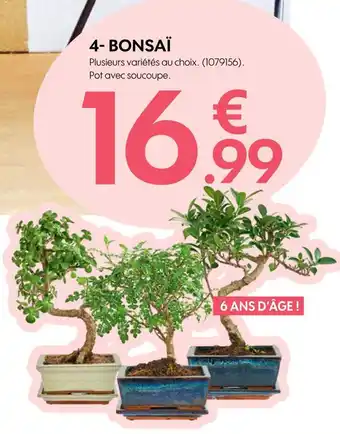 Truffaut BONSAÏ offre