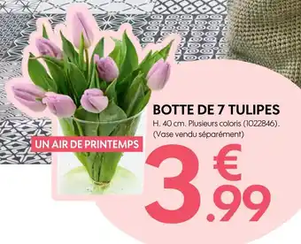 Truffaut BOTTE DE 7 TULIPES offre