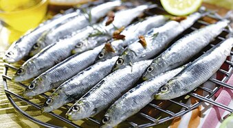 Casino Supermarchés Sardines Méditerranée offre