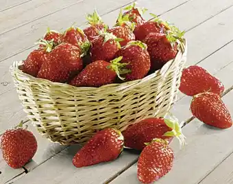 Casino Supermarchés Fraise Gariguette offre