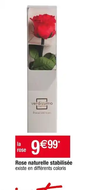 Cora x Carrefour Rose naturelle stabilisée offre