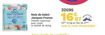Picard Noix De Saint-jacques France offre