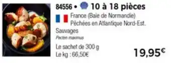 10 à 18 pièces