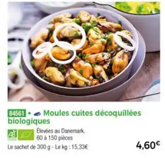 Moules cuites décoquillées