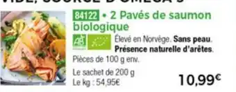 2 Pavés de saumon biologique