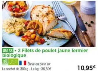 Thiriet 2 Filets de Poulet Jaune Fermier Biologique offre
