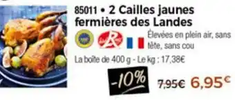 2 Cailles Jaunes Fermières Des Landes