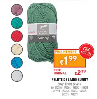 Pelote de Laine Sunny