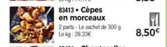 Thiriet Cèpes En Morceaux offre