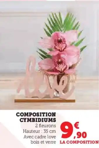 Super U COMPOSITION CYMBIDIUMS offre