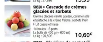 Thiriet Cascade De Crèmes Glacèes Et Sorbets offre