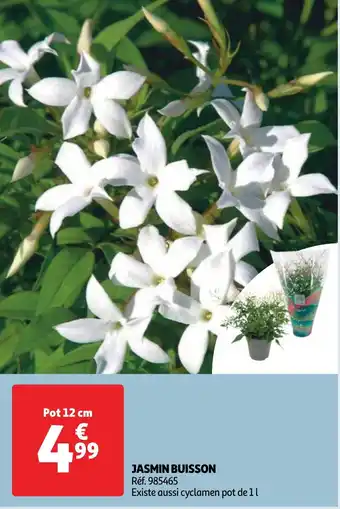 Auchan JASMIN BUISSON offre