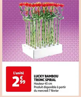 Auchan LUCKY BAMBOU TRONC SPIRAL Hauteur 45 cm offre