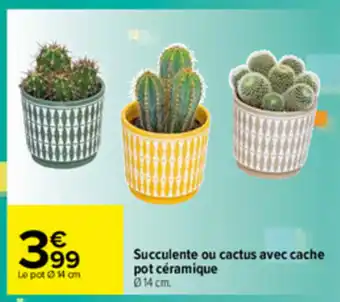 Carrefour Succulente ou cactus avec cache pot céramique offre