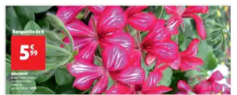 Auchan Géranium offre