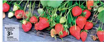 Auchan Fraisiers offre