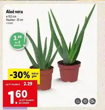 Lidl Aloé Vera offre
