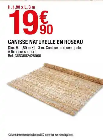 Canisse Naturelle En Roseau