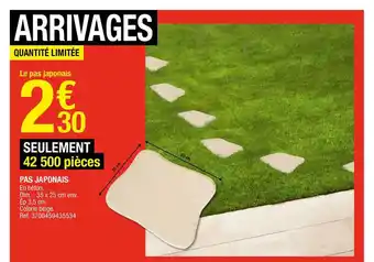 Brico Dépôt Pas Japonais offre