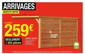 Brico Dépôt Carport Adossé offre