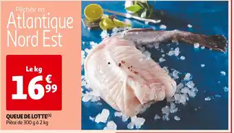 Auchan Supermarché QUEUE DE LOTTE offre