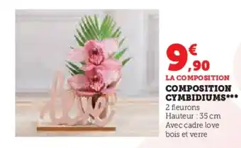 Hyper U COMPOSITION CYMBIDIUMS** offre