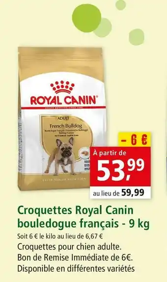 Maxi Zoo Royal canin croquettes bouledogue français - 9 kg offre